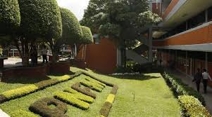 Orientación Vocacional